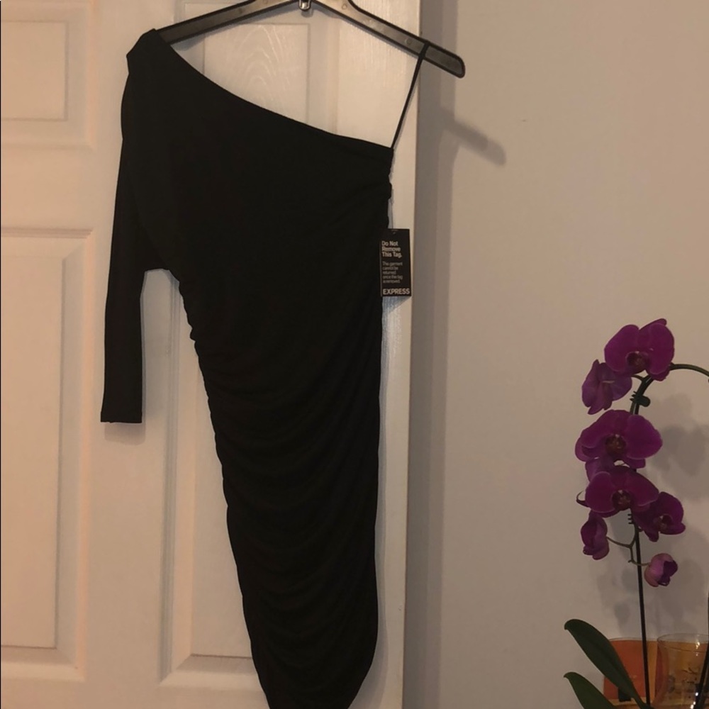 Express One Shoulder Scrunch Dress (Brand new!)
